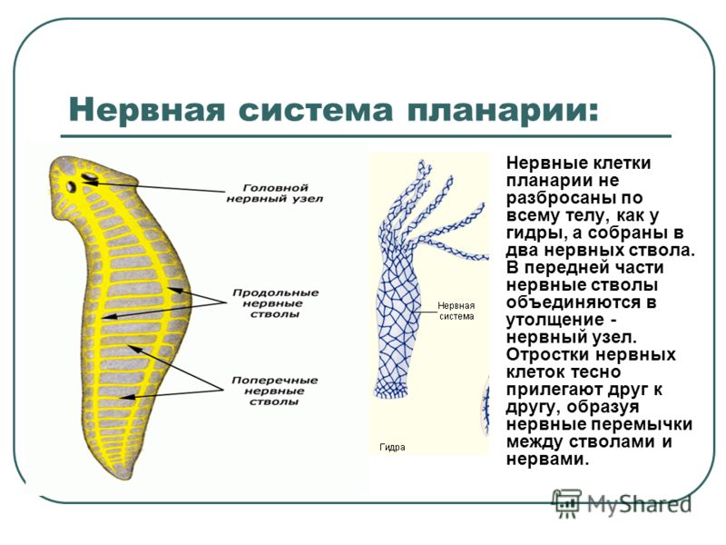 Кракен даркнет аккаунт